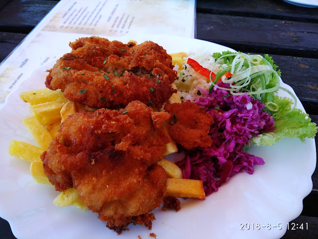 Comentarii opinii despre Hostinec u nádraží