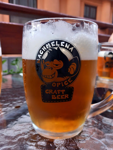 NC CAFÉ - Gastronomie a pohostinství