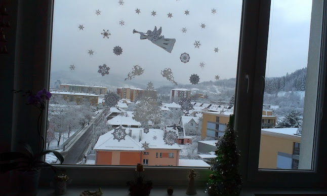 Bar Amerika - Gastronomie a pohostinství