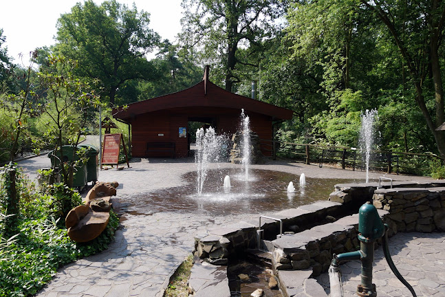 Opinii despre Thai Restaurant în Slezská Ostrava - Gastronomie a pohostinství