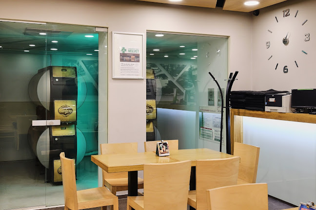 Comentarii opinii despre Starobrněnská pivnice VELVET