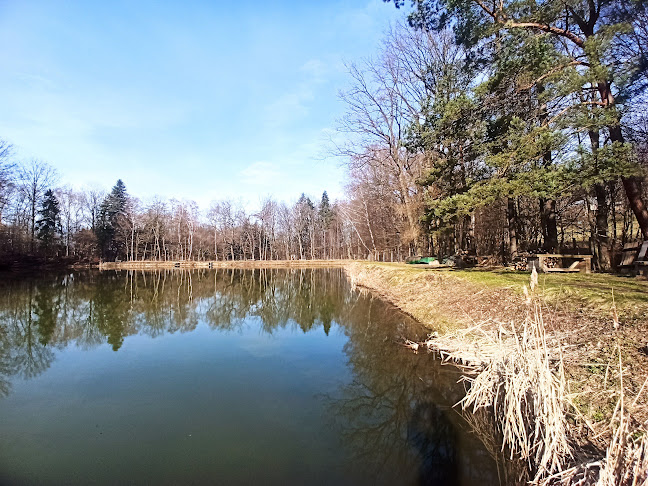 Comentarii opinii despre Restaurace Roubenka U Rybníka