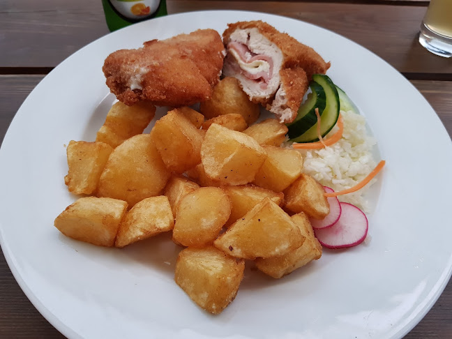 Opinii despre Restaurace U Zvonečku în Předměstí - Gastronomie a pohostinství