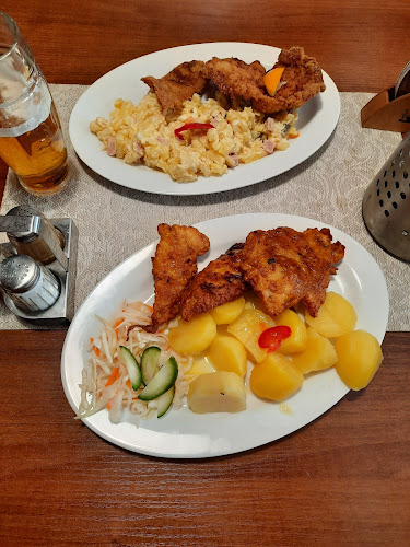 Motorest Piccolo - Všestary