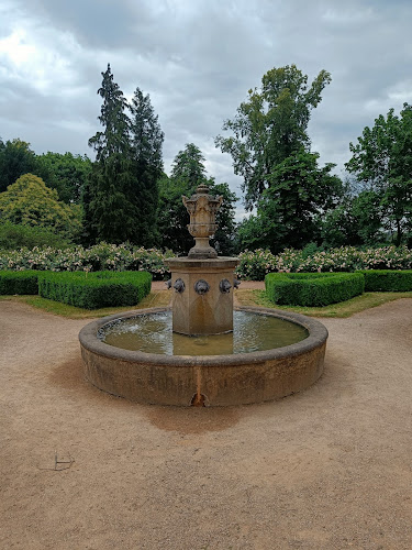 Comentarii opinii despre Café Orangerie