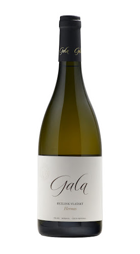 Vino e Cuore s.r.o. - Gastronomie a pohostinství