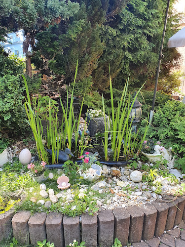 Pod Lipami 223, 351 01 Františkovy Lázně