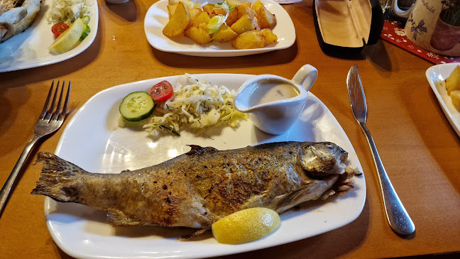 Opinii despre Rybářská bašta - Rudoltice în Olomouc - Gastronomie a pohostinství