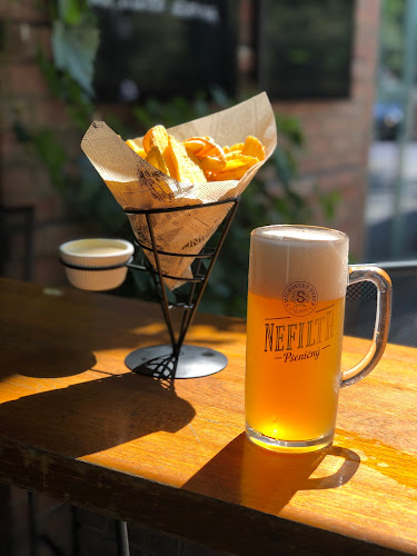 Potrefená husa Albertov