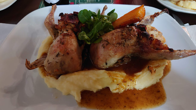 Opinii despre Restaurace a pension U Tetřeva în Kladská - Gastronomie a pohostinství