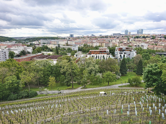 Havlíčkovy sady 1369, 120 00 Praha 2-Vinohrady