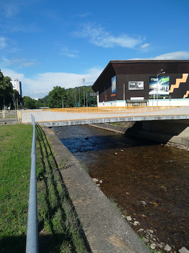 Na Lukách 466, 541 01 Trutnov 1