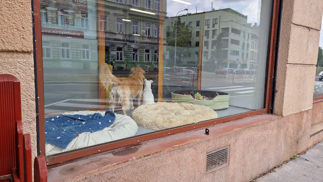 Opinii despre Vinotéka Šestka în Praha - Gastronomie a pohostinství