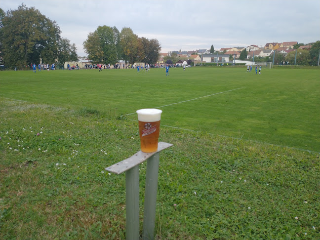 Opinii despre Restaurace v Cihelně în Plzeň - Gastronomie a pohostinství