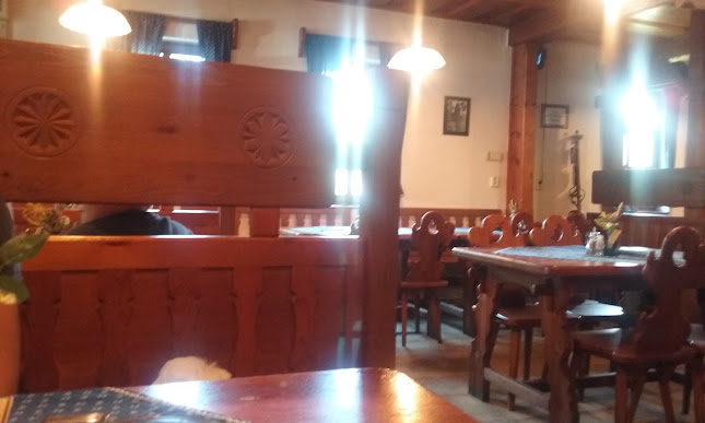 Comentarii opinii despre Motorest U Pelikána