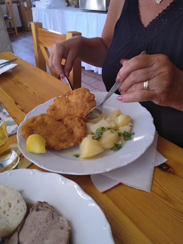 Comentarii opinii despre Restaurace / Penzion - Selský dvůr