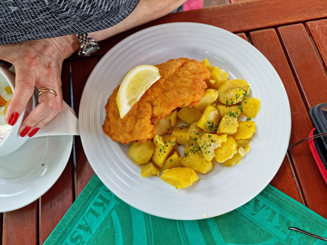 Opinii despre Pivnice Klášter Teplá în Karlovy Vary - Gastronomie a pohostinství