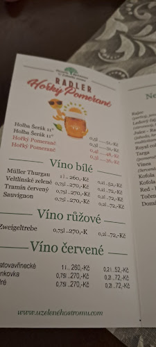 Comentarii opinii despre Pizzeria restaurace U Zeleného stromu