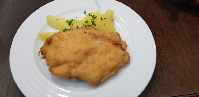 Radniční sklípek - Gastronomie a pohostinství