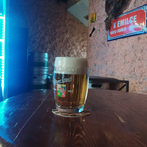 Opinii despre Charlie Vínko în Nové Město - Gastronomie a pohostinství