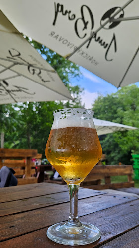 Průmyslová 250, 551 02 Jaroměř 1