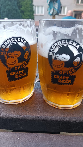 Lípová 1131, 737 01 Český Těšín 1-Mosty