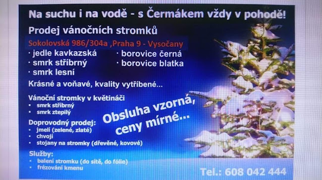 Bistro cafe by Bodlo