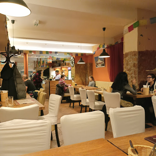 Opinii despre Himalaya Restaurant în Brno - Gastronomie a pohostinství