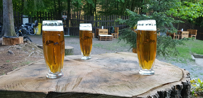 Comentarii opinii despre Krmelec