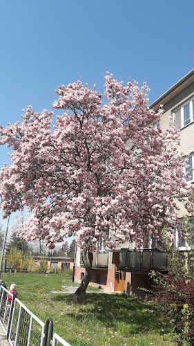 Pivnice Hanačka - Gastronomie a pohostinství