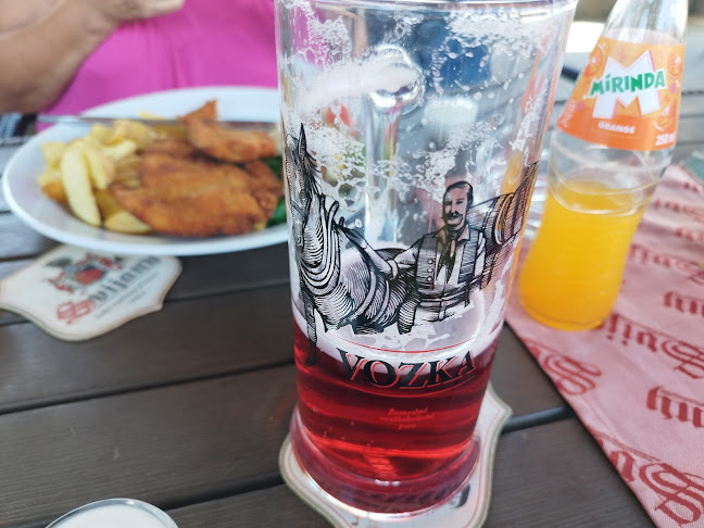 Comentarii opinii despre Motorest Zavadilka