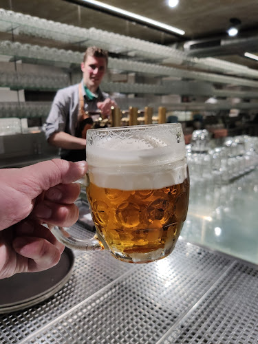 Vinohradský Parlament - Vinohrady