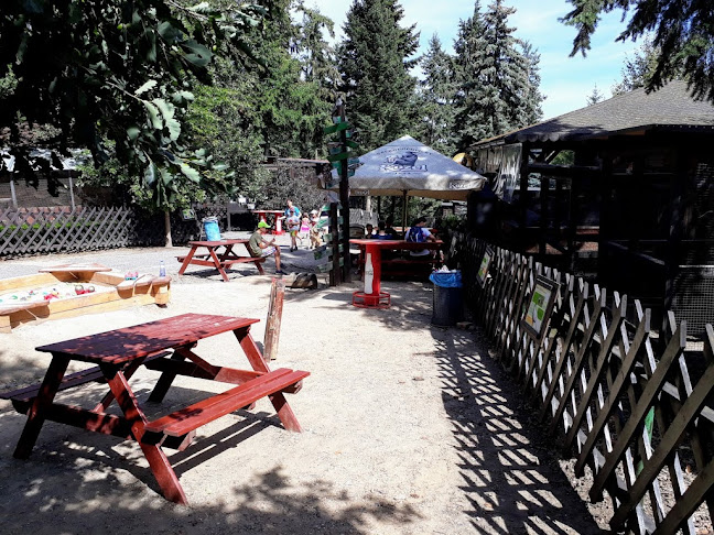 Comentarii opinii despre U Standy