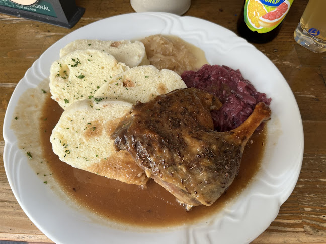 Comentarii opinii despre U Nováka