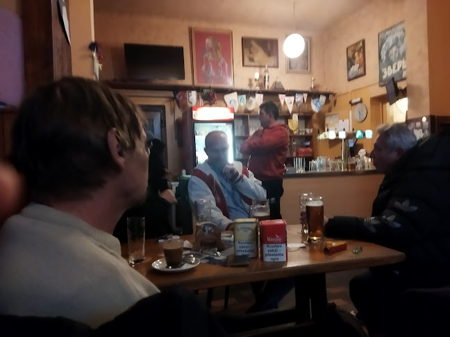 Opinii despre Restaurace Budvarka în Hradec Králové - Gastronomie a pohostinství