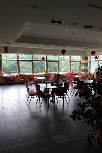 Asia Bistro U Tonyho - Karlovy Vary