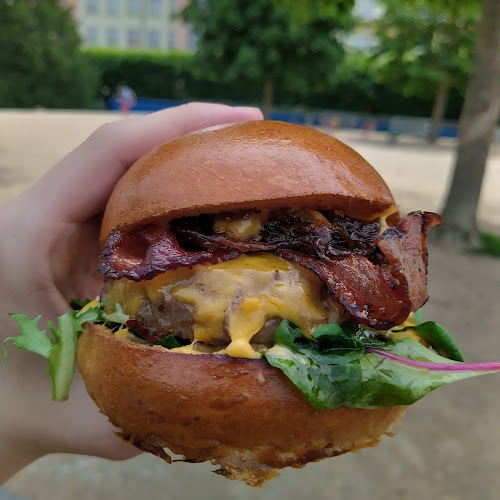 Comentarii opinii despre brgrs