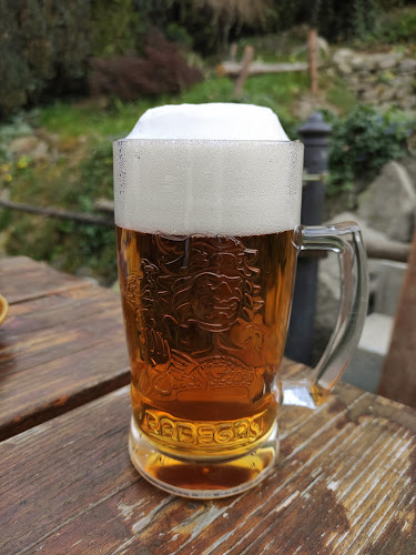 Comentarii opinii despre Hospůdka Na Žabárně