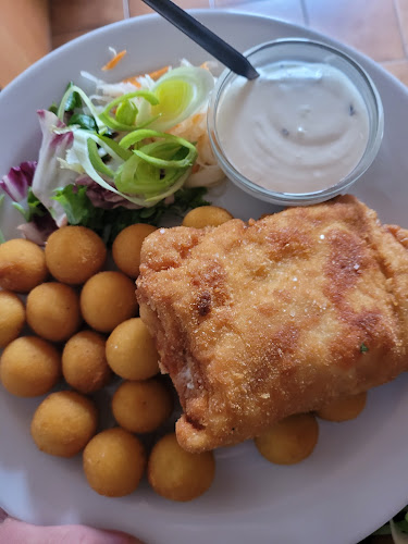 Opinii despre Restaurace Tina în Karlovy Vary - Gastronomie a pohostinství