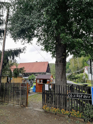 Opinii despre Občerstvení Pod hruškou în Liberec - Gastronomie a pohostinství