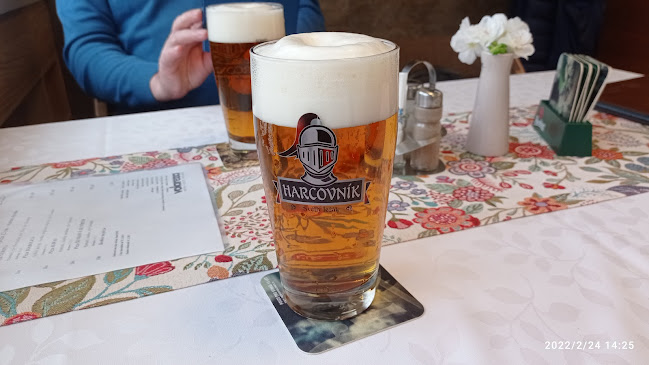 Opinii despre Restaurace Silesie în Jeseník - Gastronomie a pohostinství