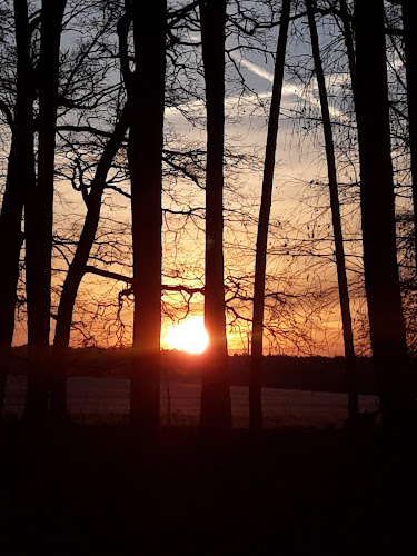 Opinii despre Kolo Bar în Liberec - Gastronomie a pohostinství