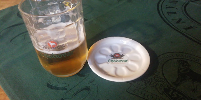 Comentarii opinii despre Hospůdka U Vodníka Tachov