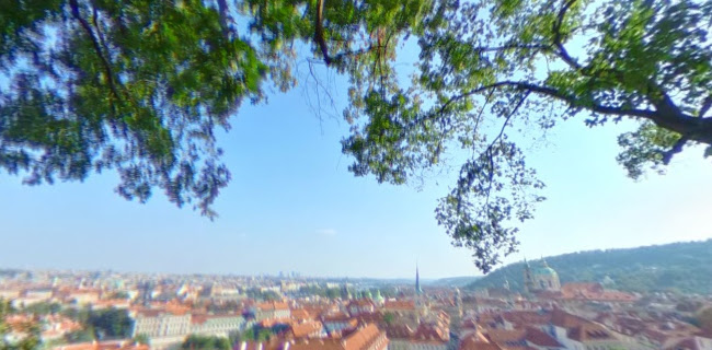 Opinii despre Lobkowicz Palace Restaurant & Café în Praha - Gastronomie a pohostinství