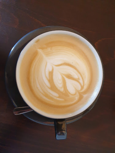 Botanická 605/19, 602 00 Brno-střed