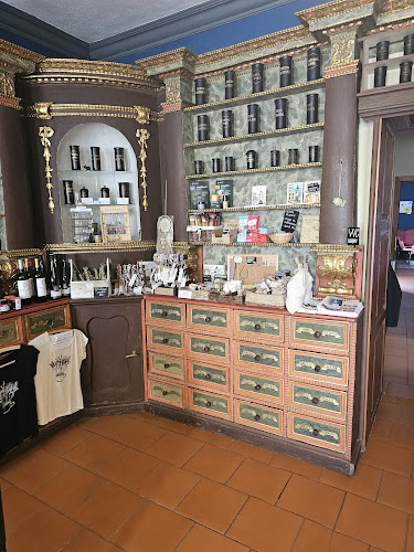 Apatyka Café - Gastronomie a pohostinství