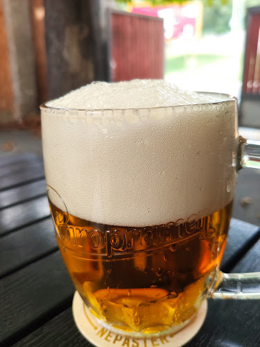 Opinii despre Lilie în Praha - Gastronomie a pohostinství