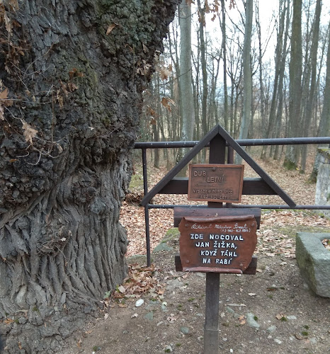 Comentarii opinii despre Restaurace S Ubytováním U sv. Antonína