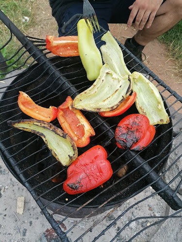 Comentarii opinii despre Altán na vodě - rybník Dalibor