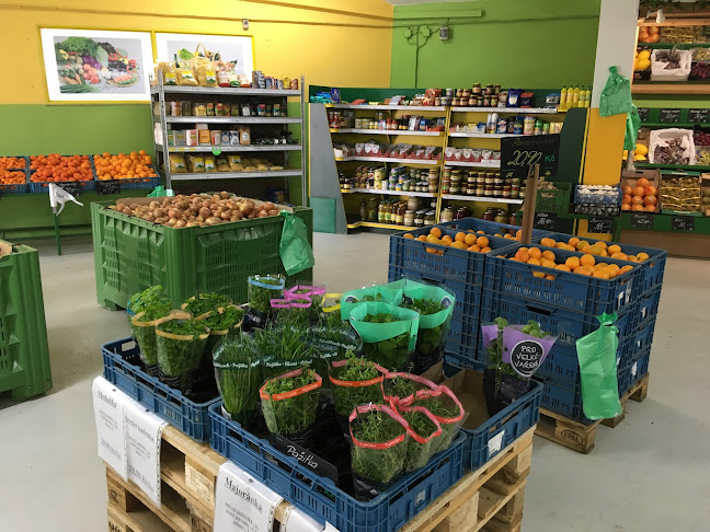 Wastex s.r.o. - Holešov